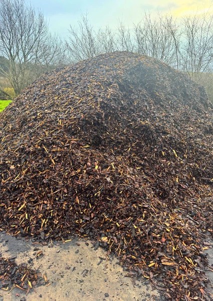 Large pile of loose bark in wet setting