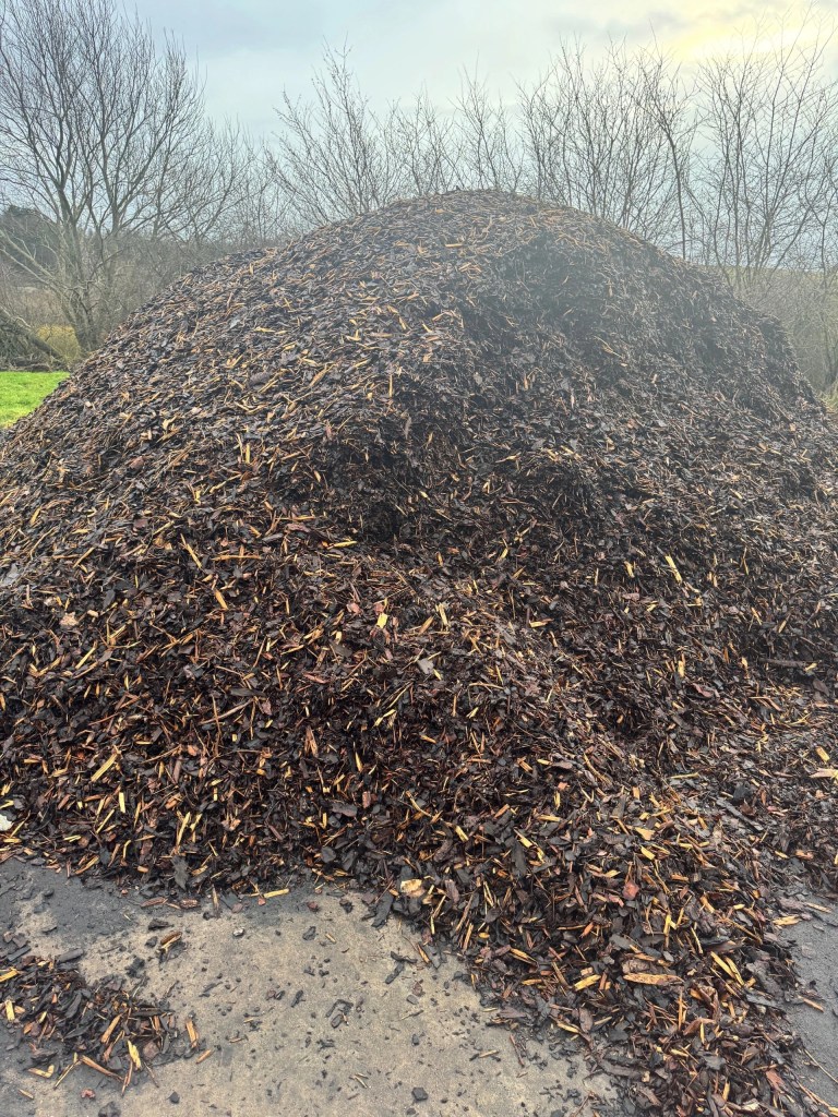 Large pile of loose bark